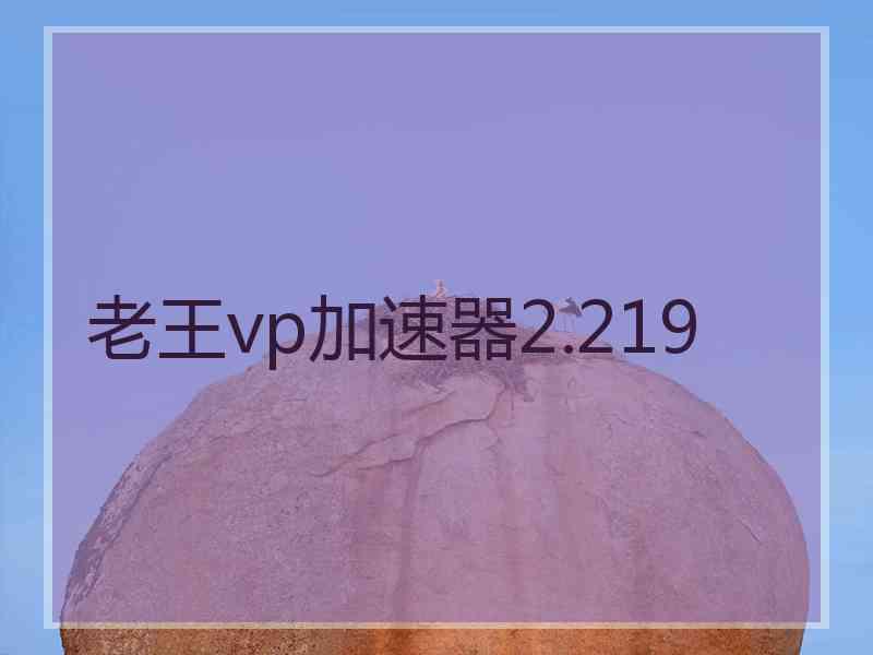 老王vp加速器2.219
