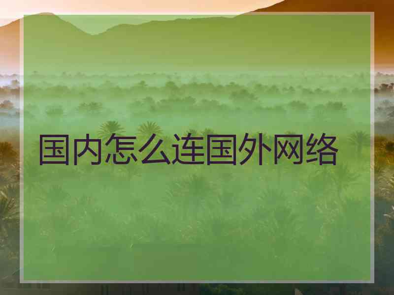 国内怎么连国外网络