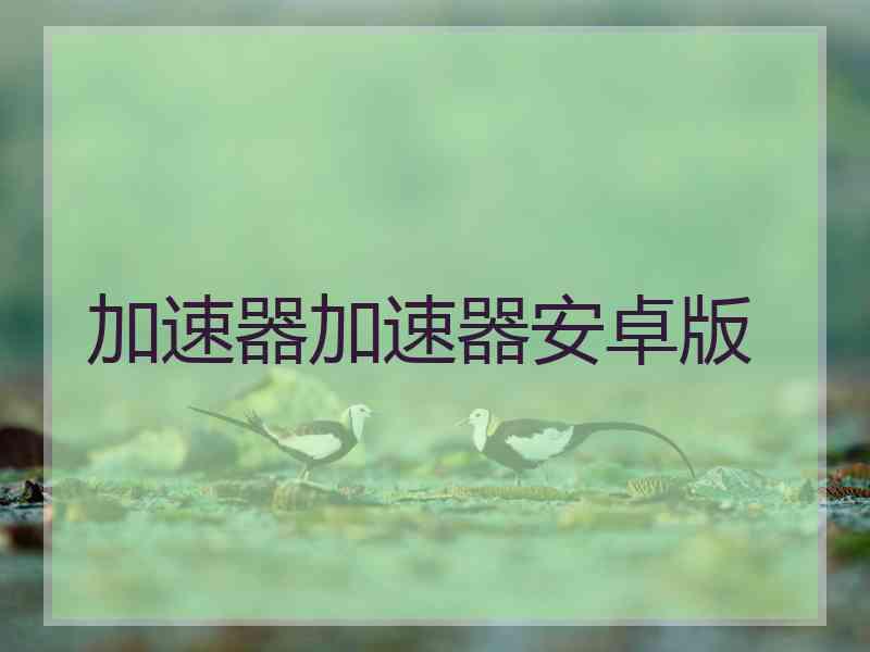 加速器加速器安卓版