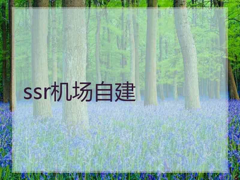 ssr机场自建