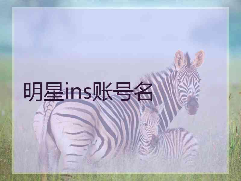 明星ins账号名