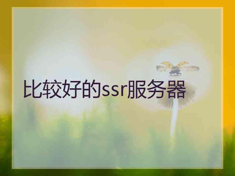 比较好的ssr服务器