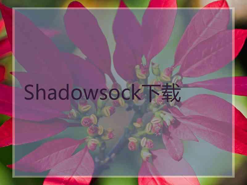 Shadowsock下载