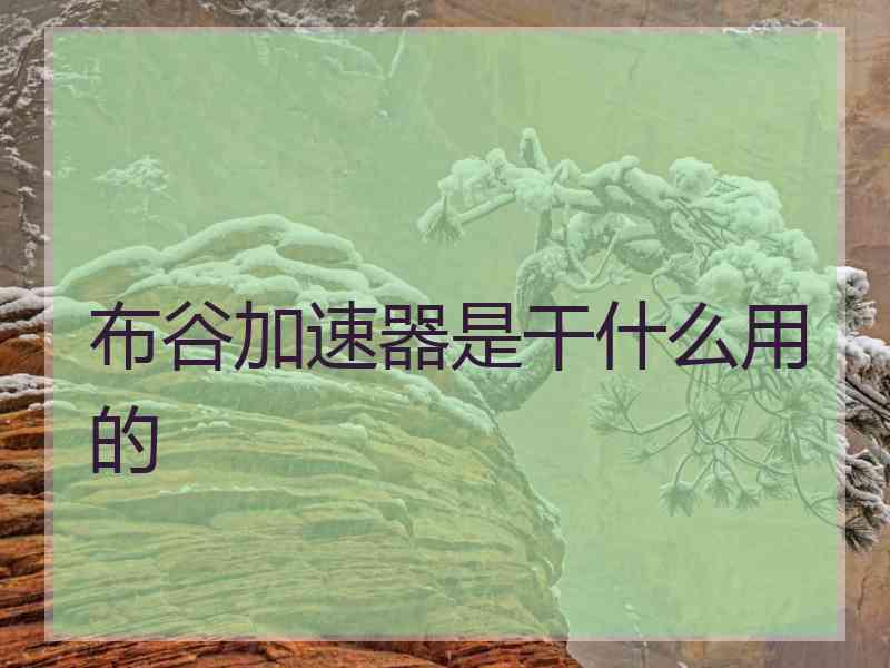 布谷加速器是干什么用的