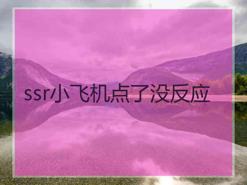 ssr小飞机点了没反应