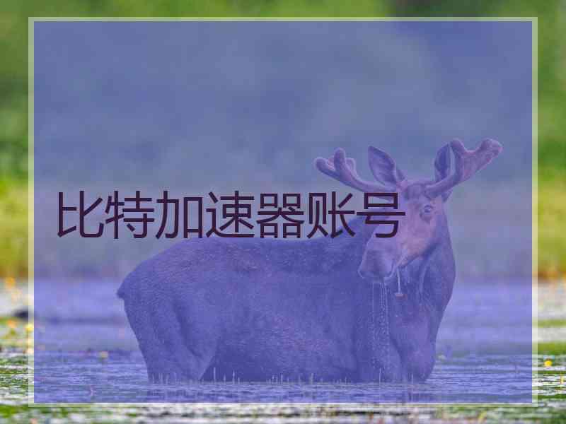 比特加速器账号