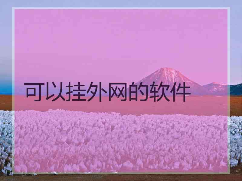 可以挂外网的软件