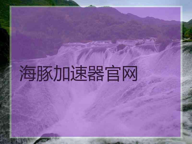 海豚加速器官网
