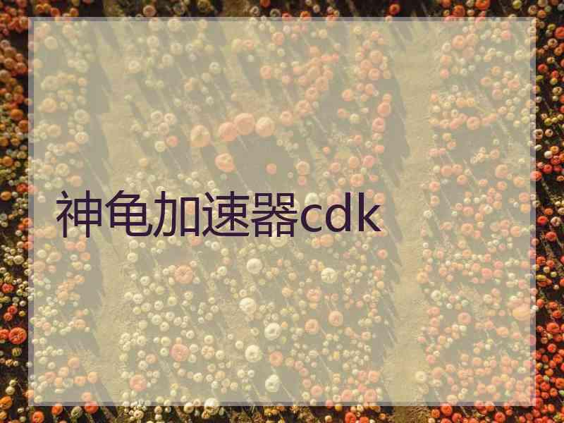 神龟加速器cdk