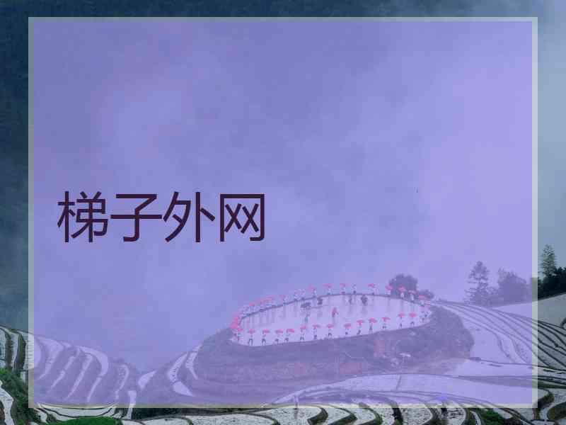 梯子外网