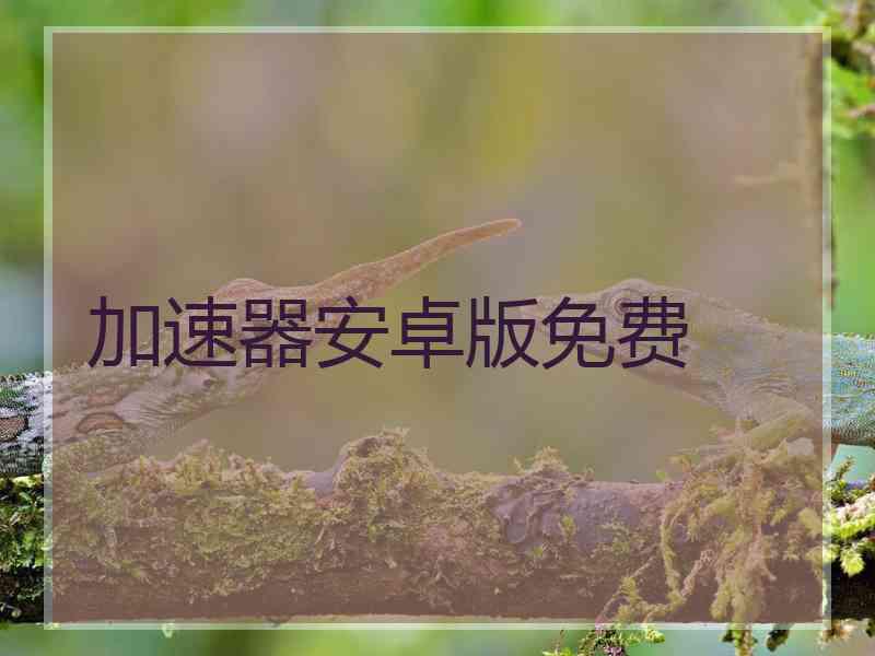 加速器安卓版免费