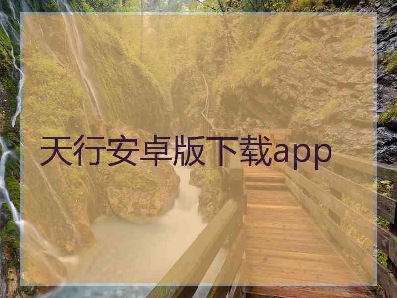 天行安卓版下载app