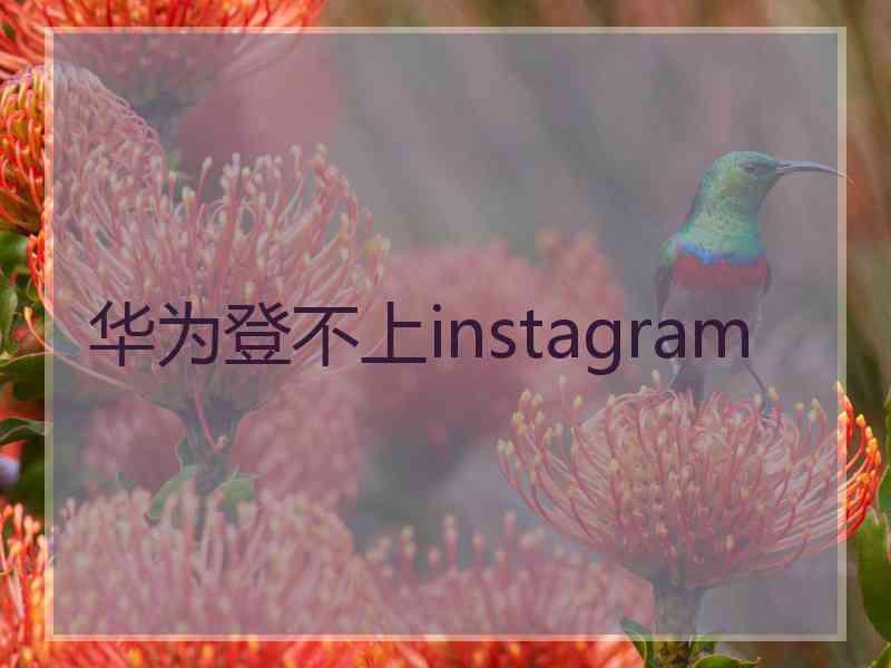华为登不上instagram