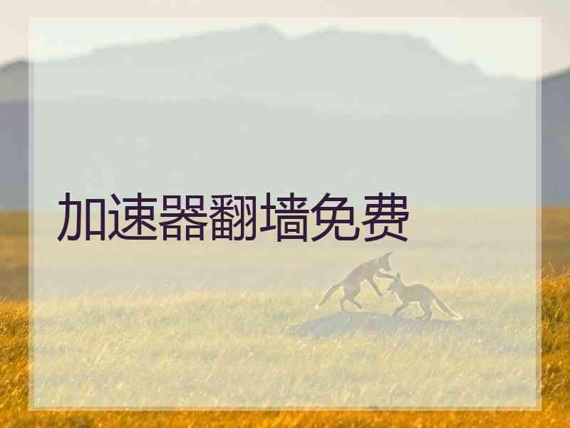 加速器翻墙免费