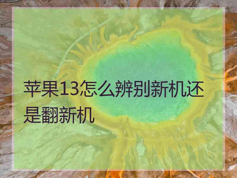苹果13怎么辨别新机还是翻新机