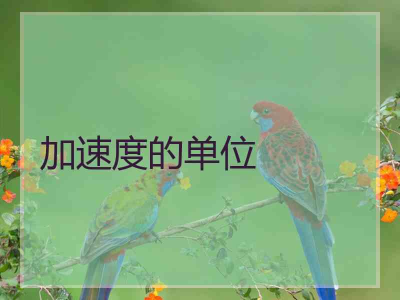 加速度的单位