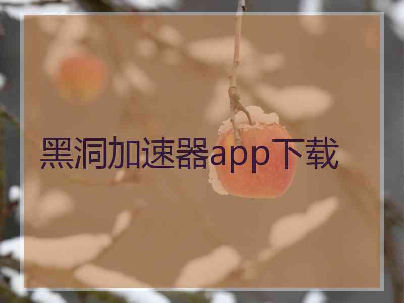 黑洞加速器app下载