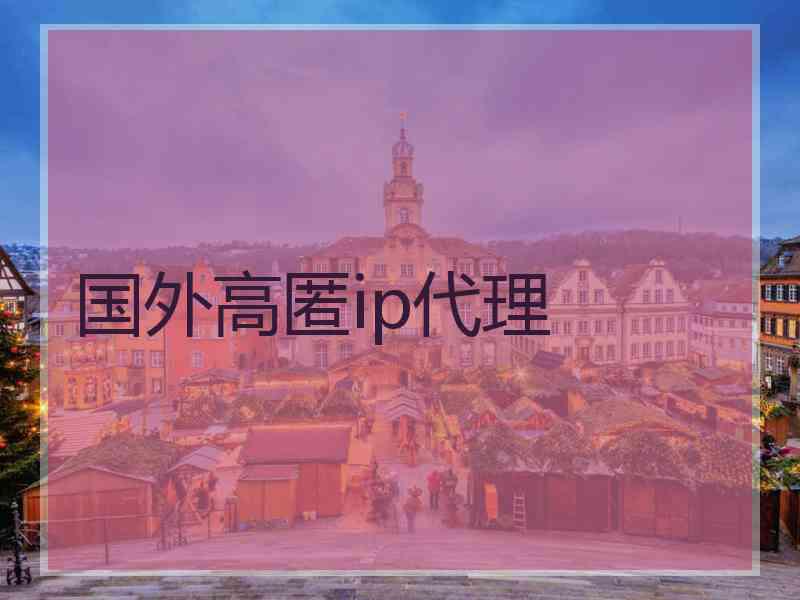国外高匿ip代理