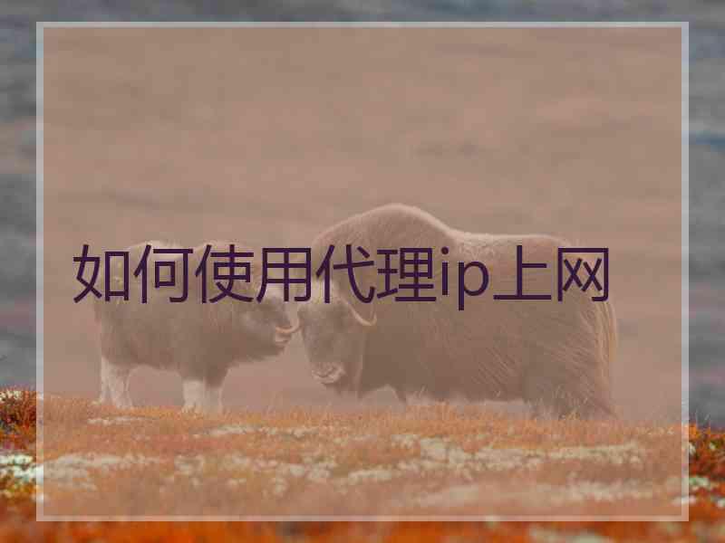 如何使用代理ip上网