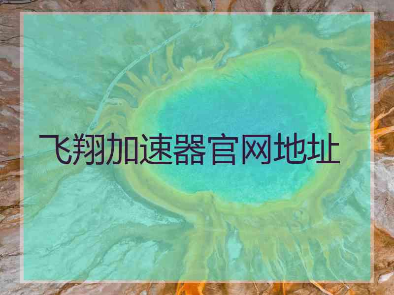 飞翔加速器官网地址