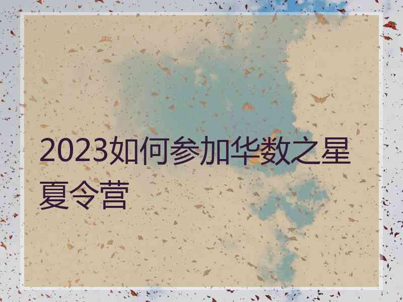 2023如何参加华数之星夏令营