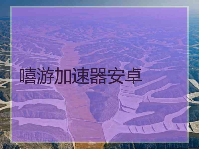 嘻游加速器安卓
