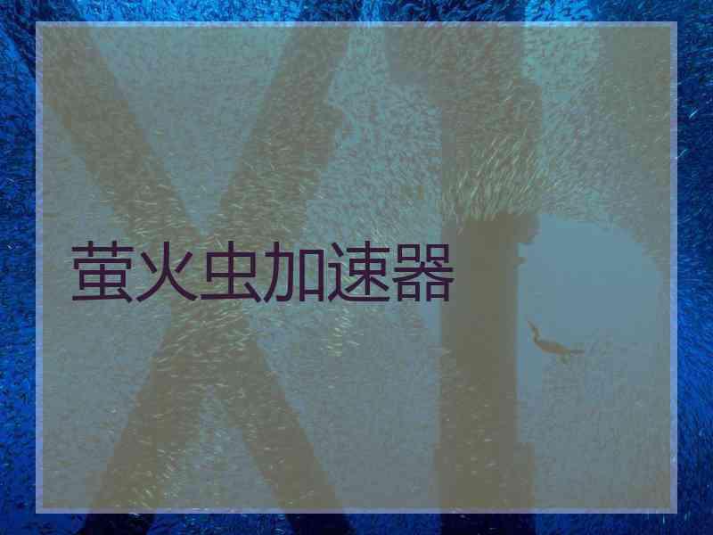 萤火虫加速器