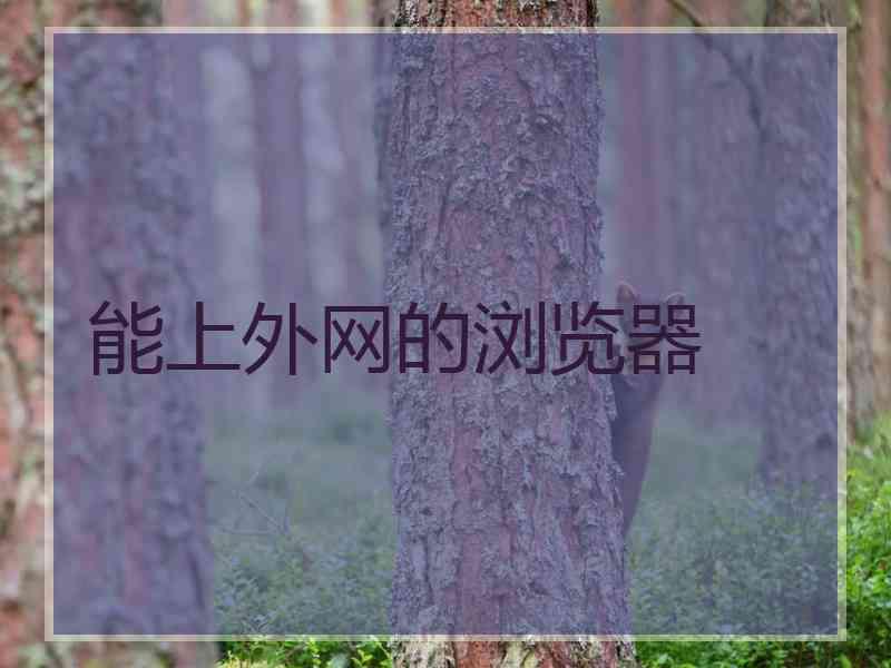 能上外网的浏览器