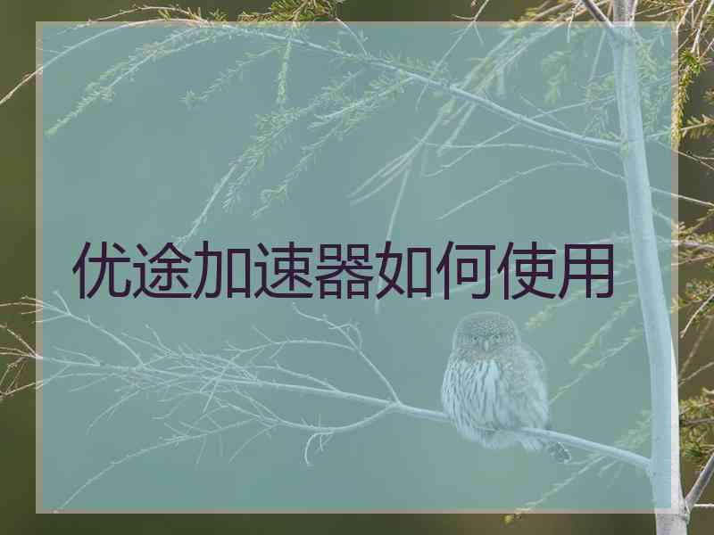 优途加速器如何使用