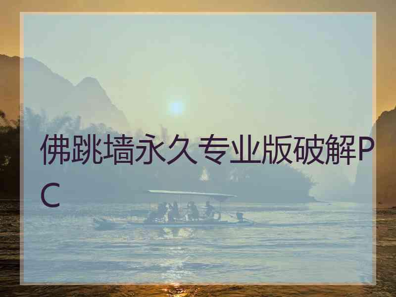 佛跳墙永久专业版破解PC