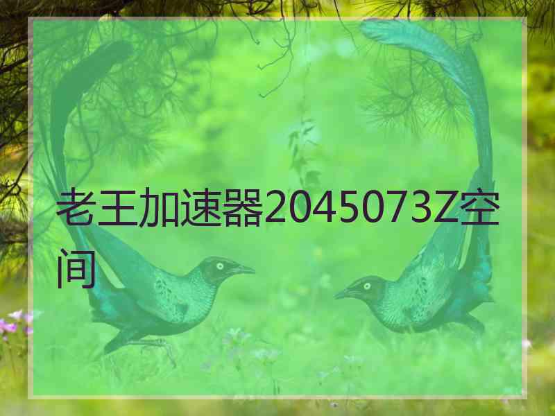 老王加速器2045073Z空间