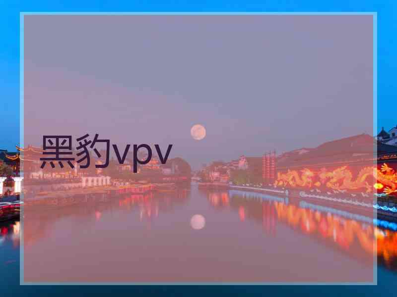 黑豹vpv