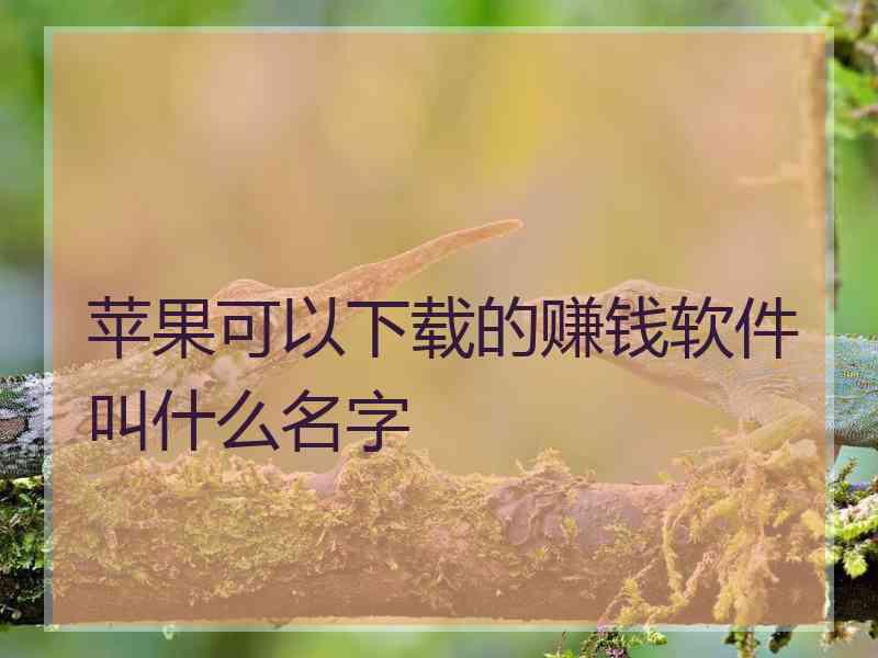 苹果可以下载的赚钱软件叫什么名字