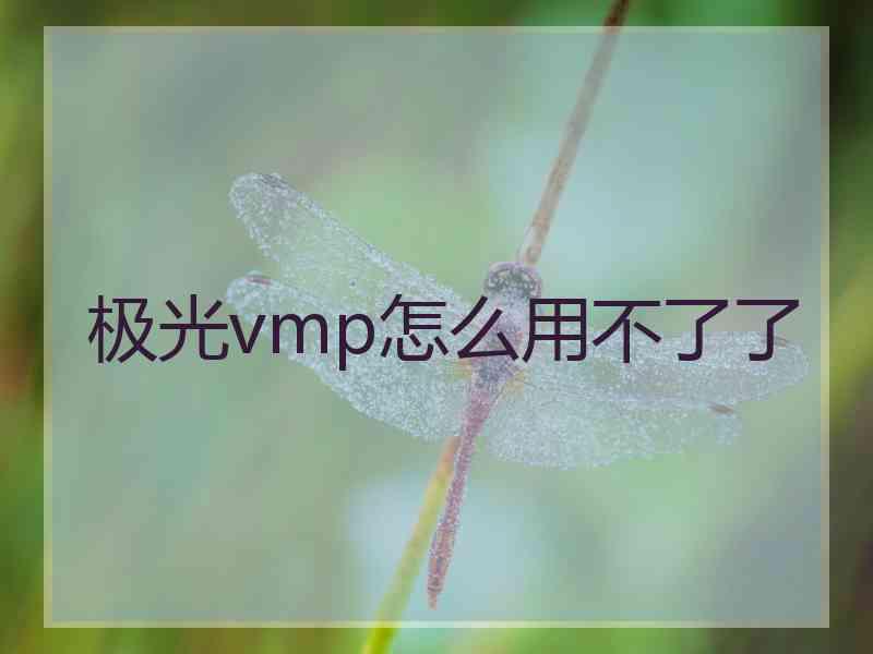 极光vmp怎么用不了了