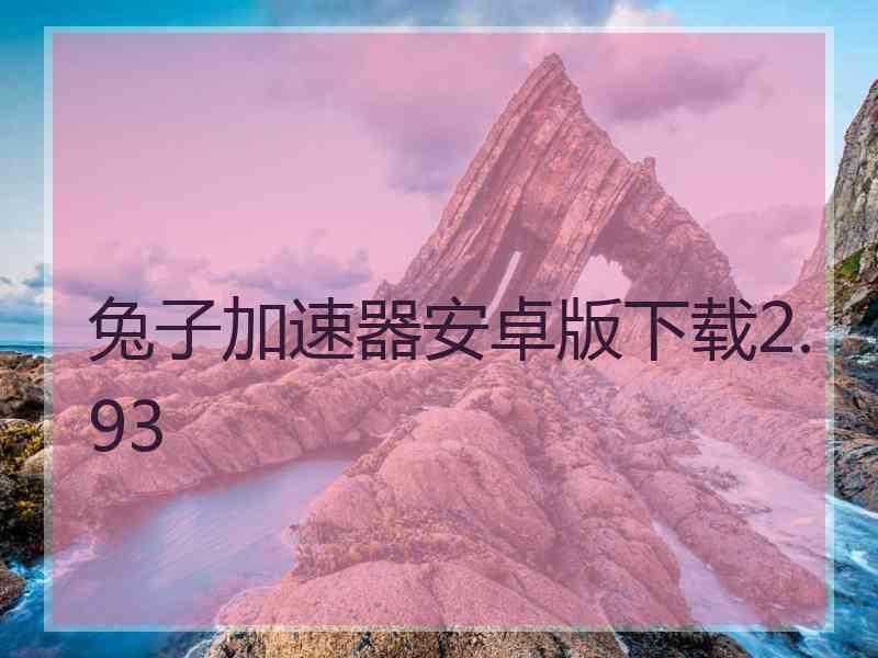 兔子加速器安卓版下载2.93