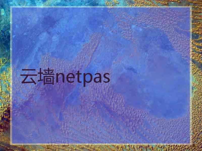云墙netpas