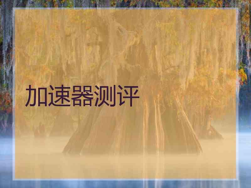 加速器测评