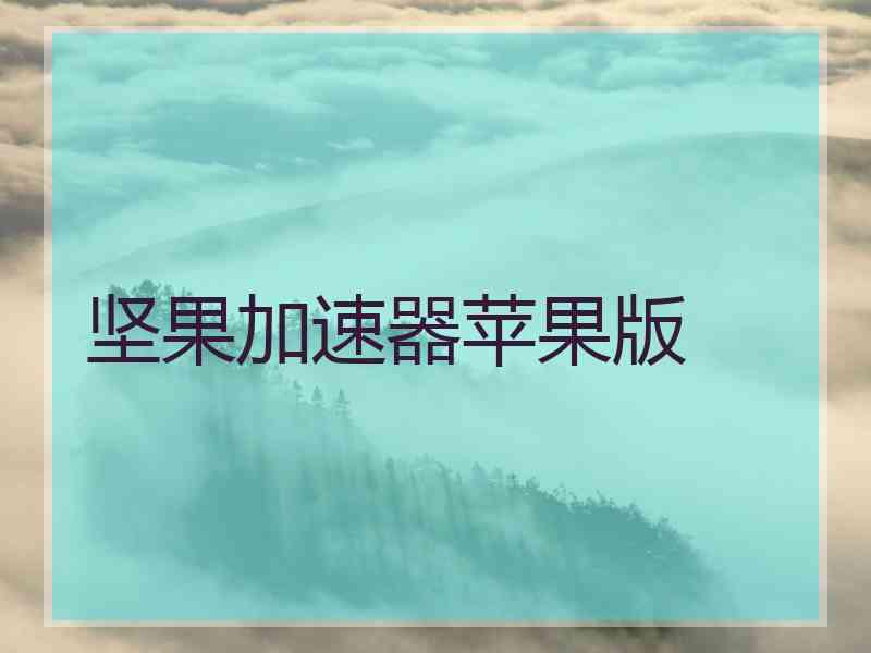 坚果加速器苹果版