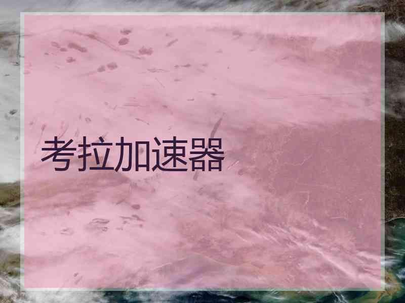 考拉加速器