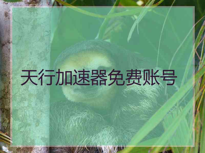 天行加速器免费账号
