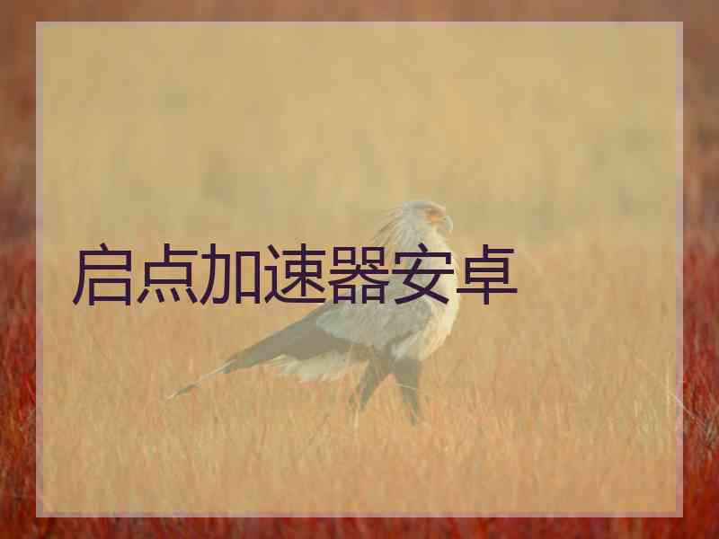 启点加速器安卓