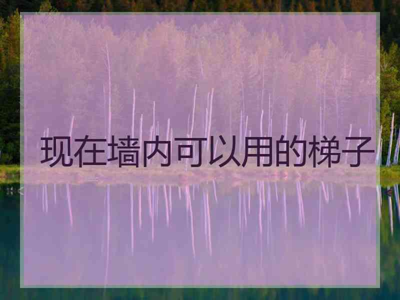 现在墙内可以用的梯子