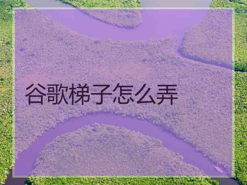 谷歌梯子怎么弄
