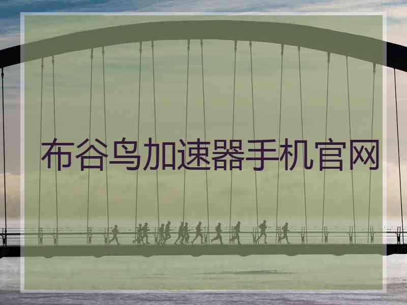布谷鸟加速器手机官网