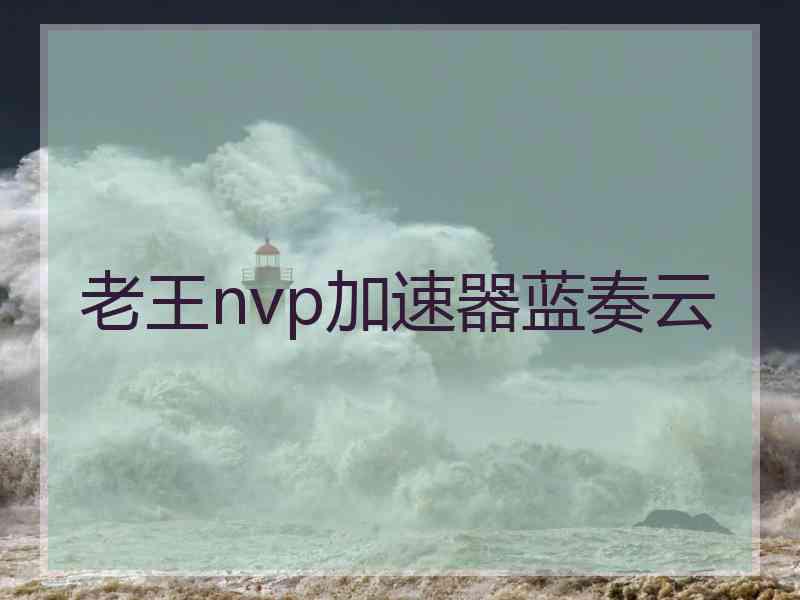 老王nvp加速器蓝奏云