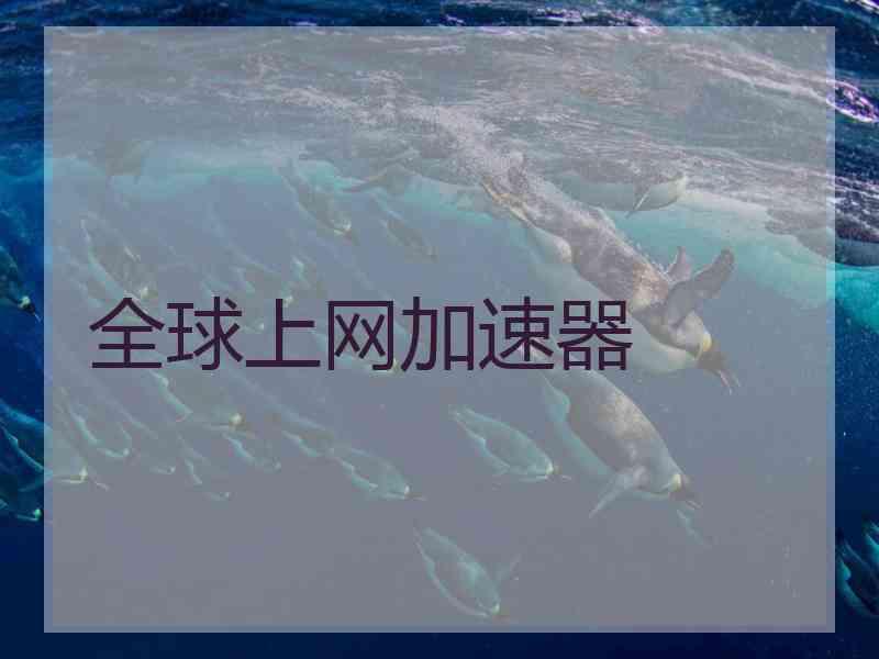 全球上网加速器