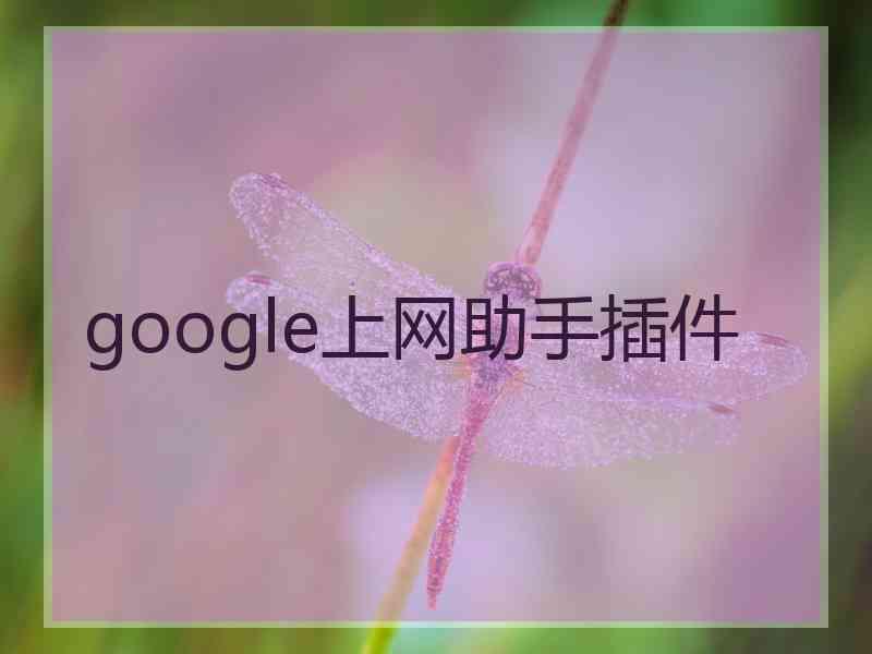google上网助手插件