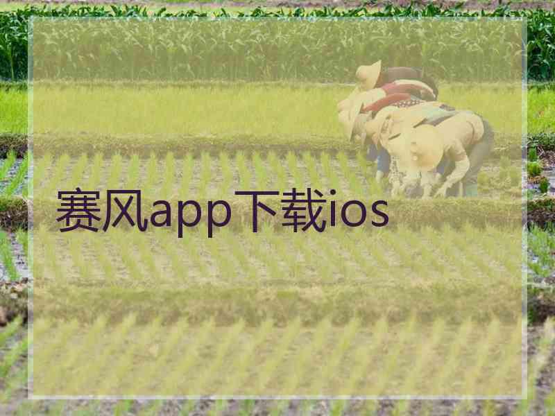 赛风app下载ios
