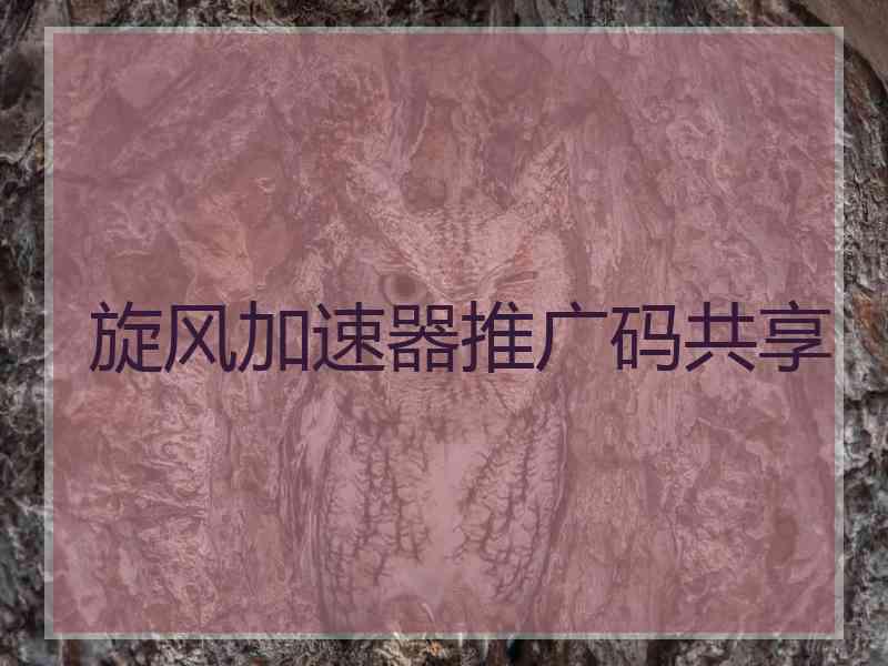 旋风加速器推广码共享