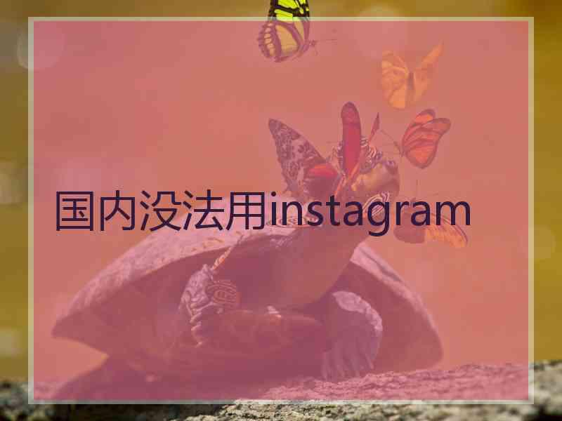 国内没法用instagram